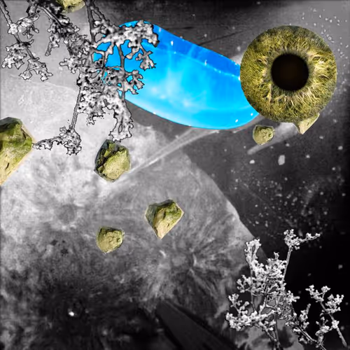 Item #99617095079910595980254990270876944363628162276742898399989141771940444241921 Media