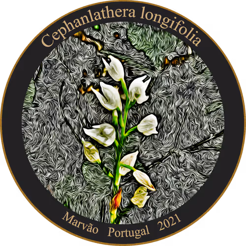 Item #83346383481971607988729477170446348570292642791419063456680174213274041057281 Media