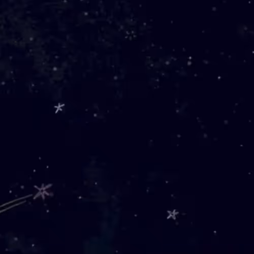 Untitled Collection #39455455