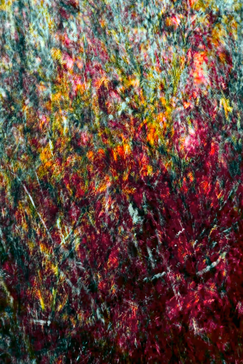 Item #62539403669685025686501917752583398735289456907083576647732505222833441341441 Media