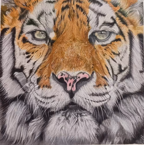 Item #56770119816642739473342556339518433199296907130769447430510033552117264809985 Media