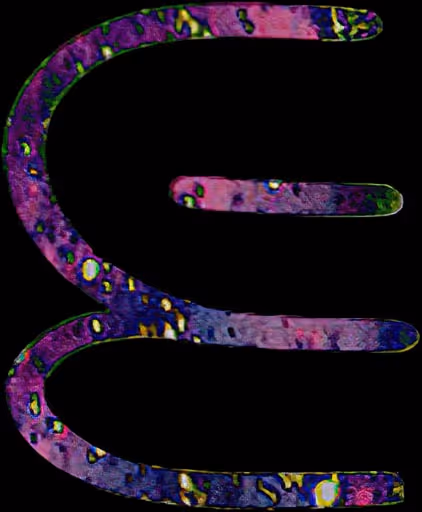 Item #25134024236616184979521667367921431367203659848766423059433089178924327371752 Media