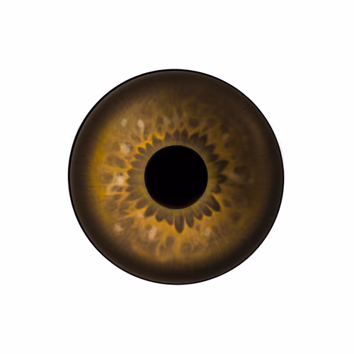 Soul #0001
