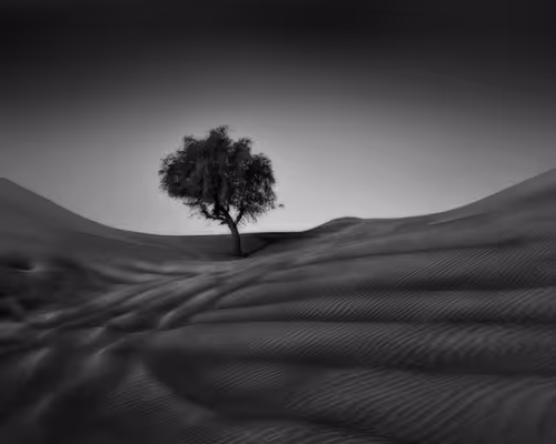 Item #108814857691029429230781820568210235490063919231059486623727012667370344808449 Media