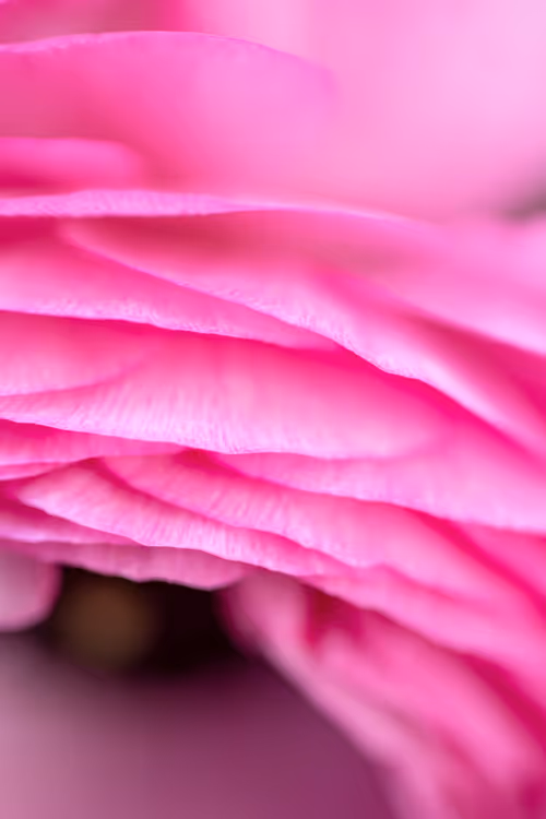 Item #24632583837492670092599633934589483131746797002802219579488358118446287814657 Media