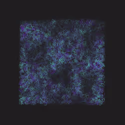 12032733712256437664215437925069129638151898554142308319368358976313263915009