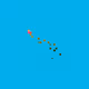 75141917017264930083837692578234640777116663273155962941304341124625735876609