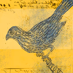 12520096913277121545232673772747947087596815365110293900319642871012138156033