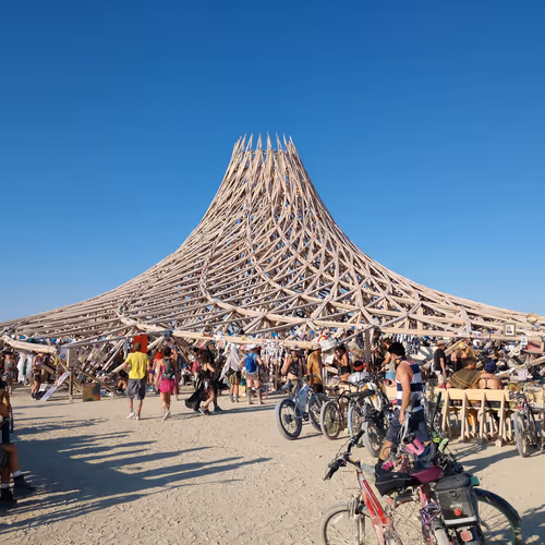 Untitled Collection #12424290