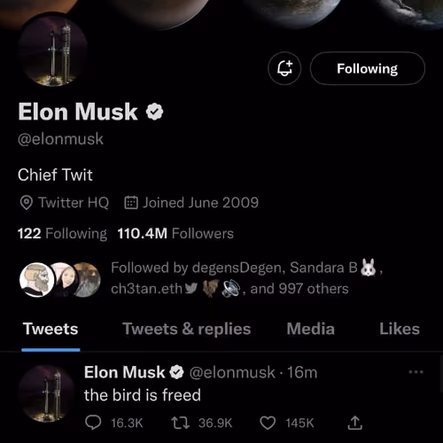 the bird is freed