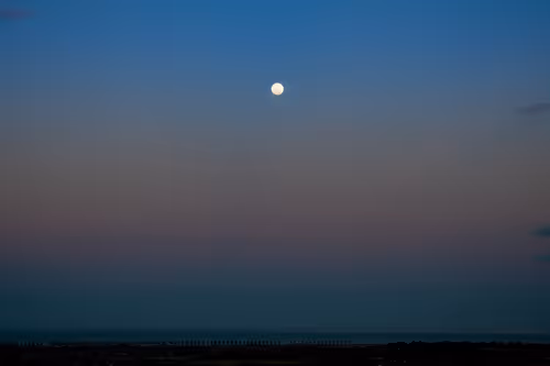 Item #100151078309057675366159992497543003968848618159963270405575559538252814745601 Media