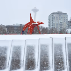 Sculpture park