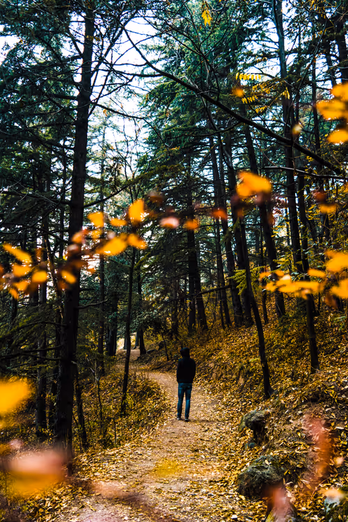 Item #106096322599603620341222276342369033024048943291878962669270680828007604551681 Media