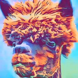 alpaca Rockstar cartoon