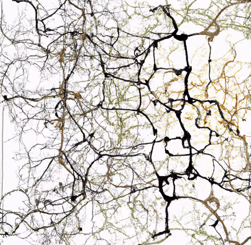 Item #33293457058661275056775848170303775746271351105386188312509916045548009291777 Media