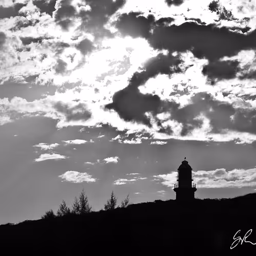 Coastlifephotography
