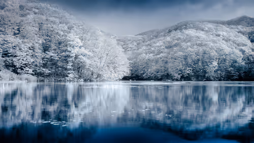 Item #36126446930239739204843078046688067152867337932892190832332247329842898403329 Media