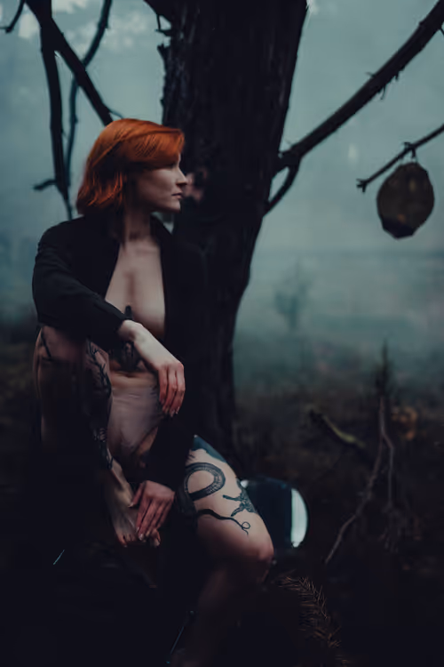 Item #49483015878195515189915113036899579232904606092427389429433117618625111392257 Media