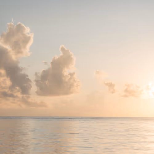 66194589098145771714541131276235575166397887892718389200878874103689492037633