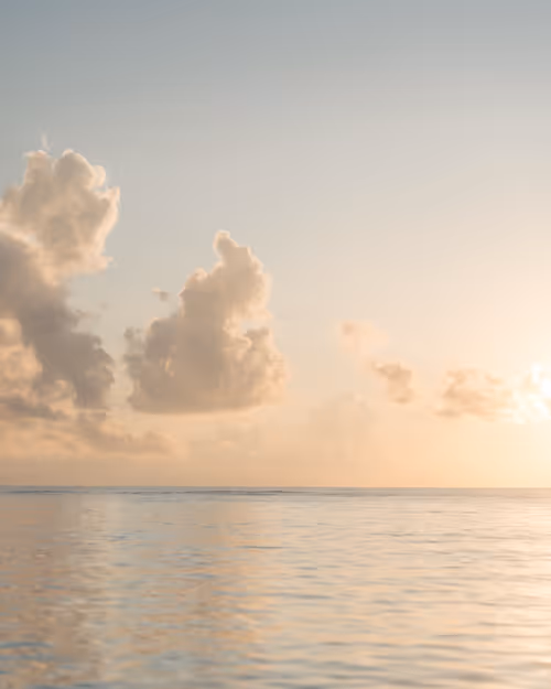 Item #66194589098145771714541131276235575166397887892718389200878874103689492037633 Media