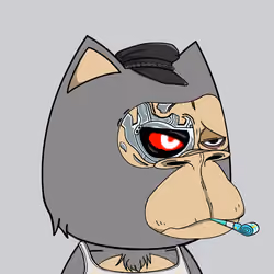 Tubby Ape