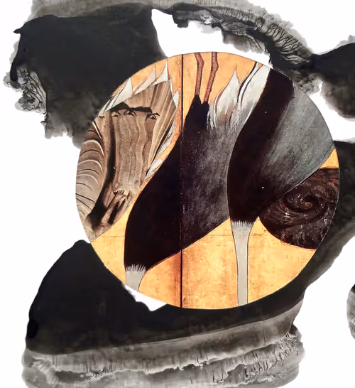 Item #35041902778173331559680500540735012093335203387204658820110218311553563754497 Media