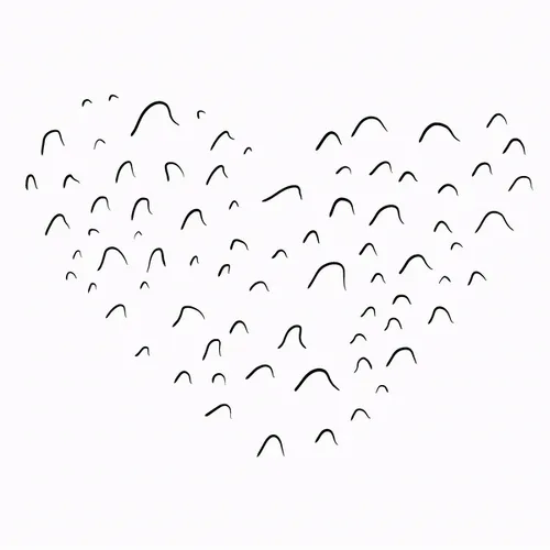 16422662516970549575097843854930531397133332737224421301641148738926922432513