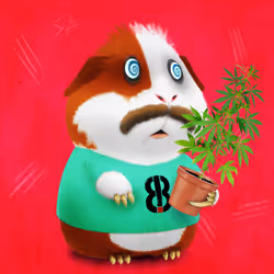 67828453090534394616700294383444395072775898889081391609707730440688058236929