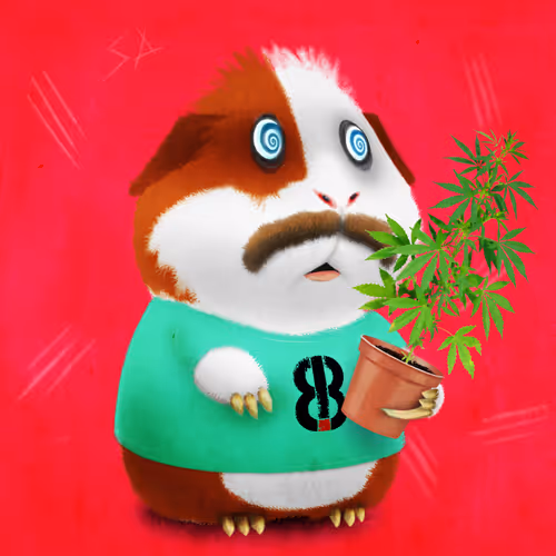 Item #67828453090534394616700294383444395072775898889081391609707730440688058236929 Media