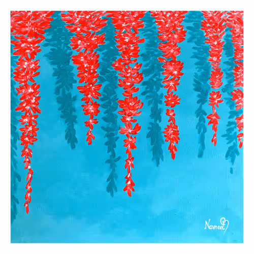 NKRandhawa Collection