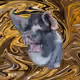 53180631642456764738139299674940583640479914081960747744151189769574680625153