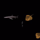 21110968672319209974181361748962872655060568017358945254785826089950207016961