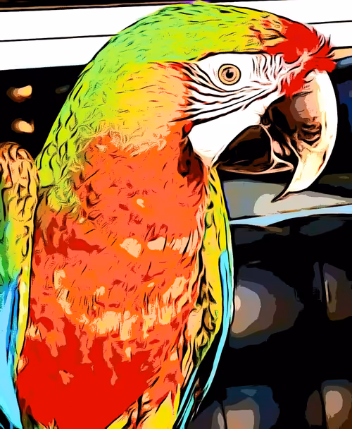 Item #56867508284360523695886647760931533624743816835046178394867123566952472117249 Media