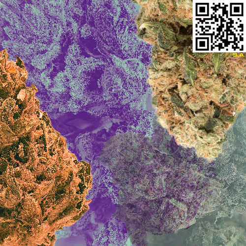 Item #61089433673675855013240100592429788426200334601701735580530433782893445644289 Media