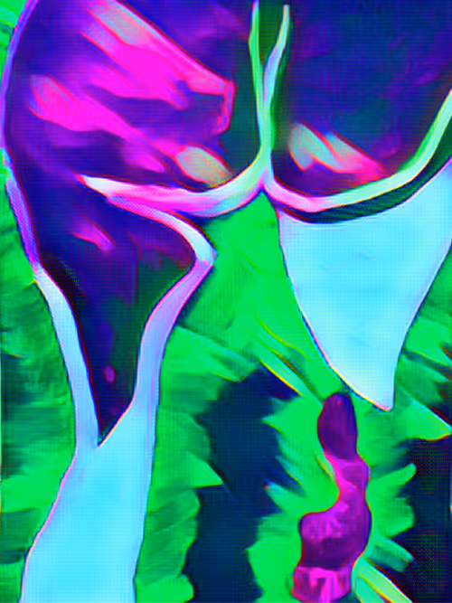 Item #68266961498798237250982388878233973565171637923511209936358774137634240331777 Media