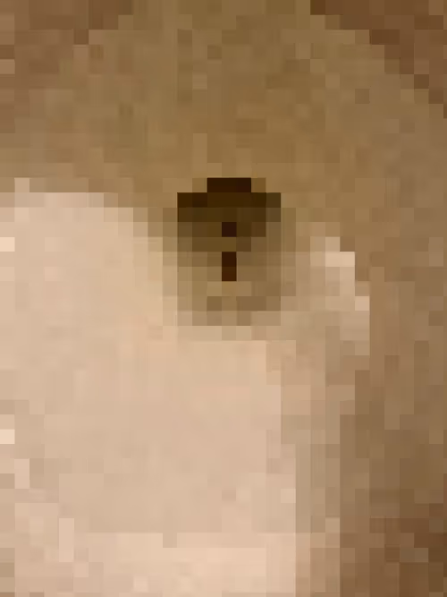 Item #2850415134272365380187775685678842410458265265709128331682257678899095797761 Media