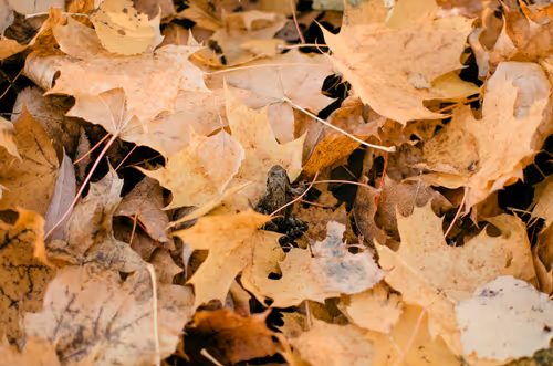 Item #89749655781633695214918973850275472722969414754438239918620403780937337274369 Media