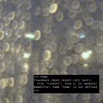 Item #59919402404300880096899579299090590316198829444257092873067760388858015907841 Media