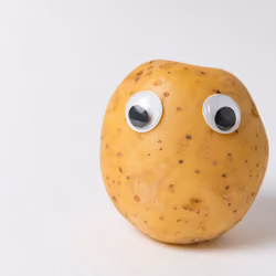 Mr.Potato