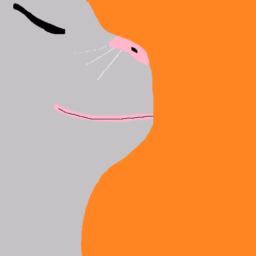Grey catJAM - Orange