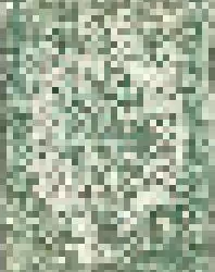 12325373483572719967795320012061967533914195640300563770075413336517418942465