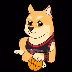 Doge basketball#1
