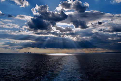 Item #49233942594206681993774525482775614938503923358386335306228156052155528118273 Media