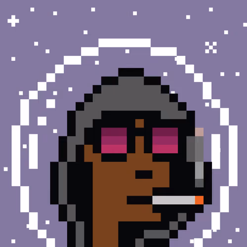 SpaceX Punk #9778