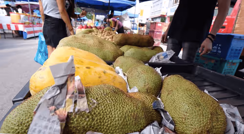 Elvie-Lins Collection - old