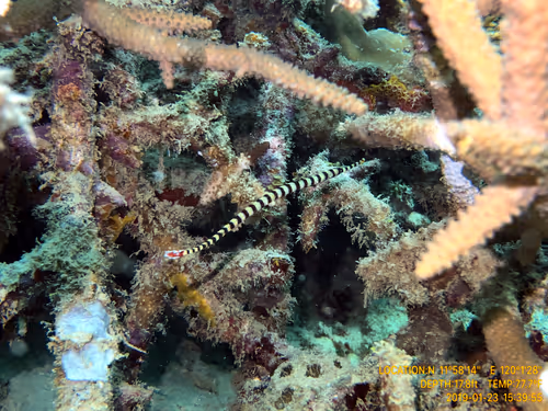 Item #80965803268169370603932631570667161375508893671094224909166964250257737646081 Media