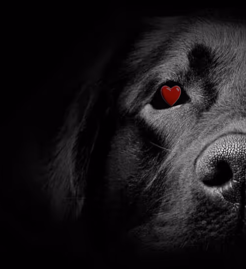 Item #112638842012957323397667355409978621827807315041052331183986003327373868531713 Media