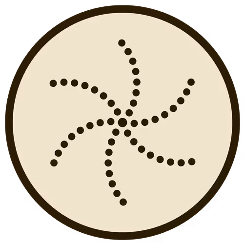 Item #43146523161913970775654449509921564474344972767913577800200540939038398349313 Media