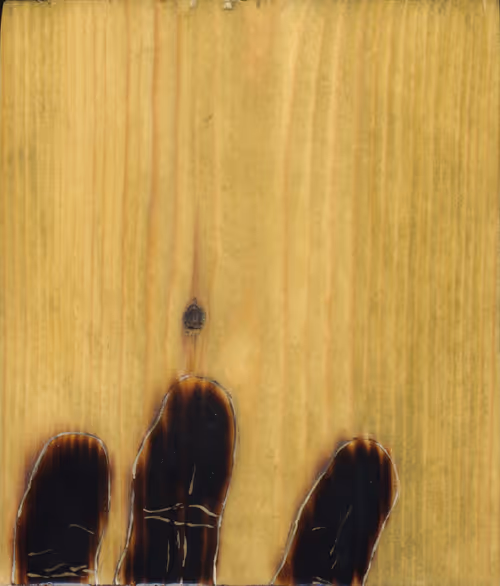 Item #83537820158197579288683679296722743106348371715068758034174859269804153372673 Media