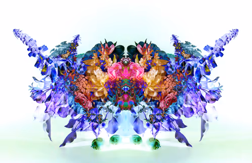 Item #115777998595893665994444239990527876334103377557148564688795026462757196136449 Media